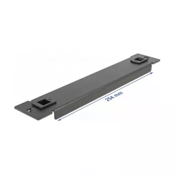 Aklais panelis DeLOCK 10 collu tīkla skapis 66576
