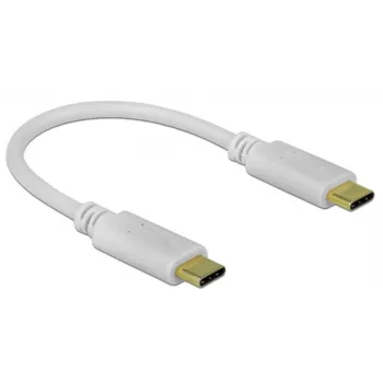 Delock - USB-C / barošanas kabelis - 24 kontaktu USB-C (M) uz 24 kontaktu USB-C (M) - 5 A - 15 cm - USB barošanas avots (100 W), atbalsta Power Delivery 2.0 - Balts (85357)