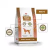 PUPIL Premium Insects - sauss suņu barība - 12kg