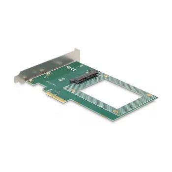DeLOCK PCI Express x4 karte uz 1 iekšējo U.2 NVMe SFF-8639