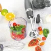Rokas blenderis Salter EK2827COSVDEEU10