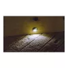 Synergy 21 S21-LED-L00024 iekštelpu/āra, piemērots iekštelpām, padziļināti montējams apgaismes spotiņš 0,6 W, melns - sudraba gaismas spotiņš