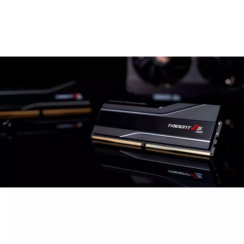 RAM modulis G.SKILL DDR5 64GB (2x32GB) 6000MHz CL30 288-pin DIMM 1.4V EXPO/XMP 3.0 ar heatsink