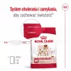 Sausā suņu barība Royal Canin SHN Medium Adult 15 kg — pilnvērtīgs uzturs pieaugušiem vidējo šķirņu suņiem, mājputnu gaļa, 25% olbaltumvielu, 14% tauku