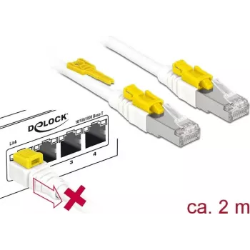Tīkla kabelis DeLOCK 85332 RJ-45 Cat6a 2 m Balts