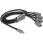 DeLOCK 64210 USB 2.0 Type-C centrmezgls 480 Mbit/s Melns Pelēks
