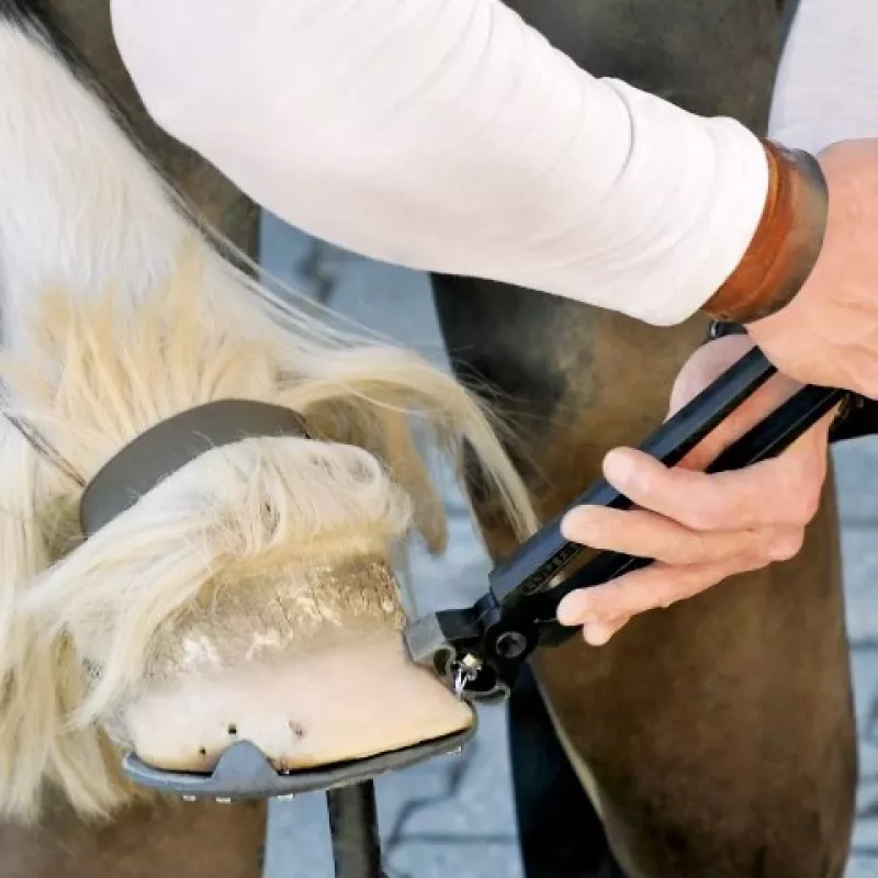 Knaibles Knipex 55 00 300
