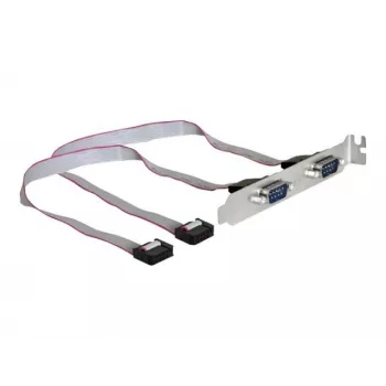 Saskarnes karte DeLOCK 89083