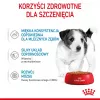 ROYAL CANIN SHN Mini Puppy mērcē - mitrā kucēnu barība - 12X85g