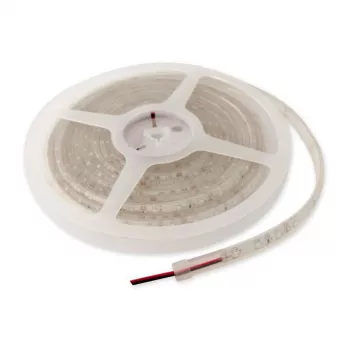 Synergy 21 S21-LED-F00037 neona caurule 300 lampas universāla LED lente iekštelpām/ārtelpām 5 m (S21-LED-F000