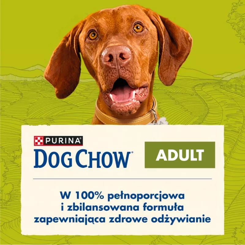 PURINA Dog Chow Adult Lamb - sausā suņu barība - 14 + 2,5 kg