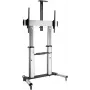 ROLINE statīvs LCD displejam - sudraba krāsa - Ekrāna izmērs: 152,4-254 cm (60-100)