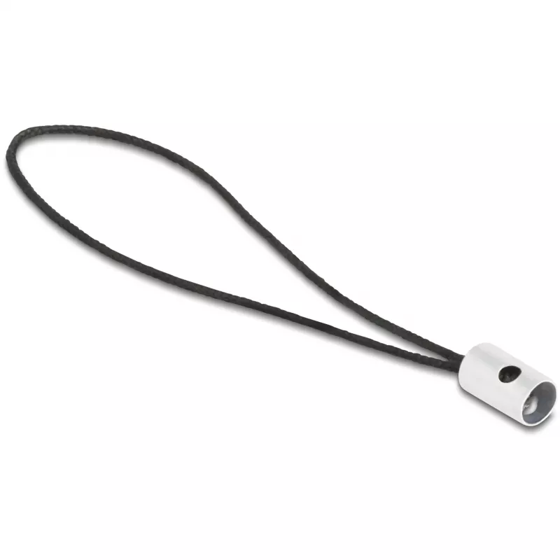 Kabeļu savienotāju adapteris DeLOCK 60688 USB 2.0 Type-C uz 8 kontaktu Lightning antracīts