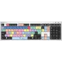 tastatūra Logickeyboard LKB-PPROCC-AJPU-UK Office USB QWERTY UK English Multicolour