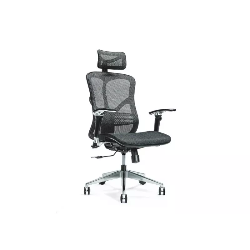 Ergonomisks biroja krēsls ERGO 500 melns