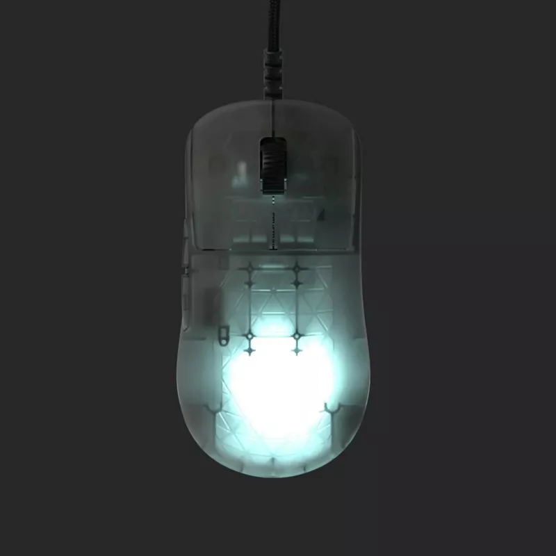 Endgame Gear OP1 RGB pele Spēlēm Labās rokas USB Type-A Optiskā 26000 DPI