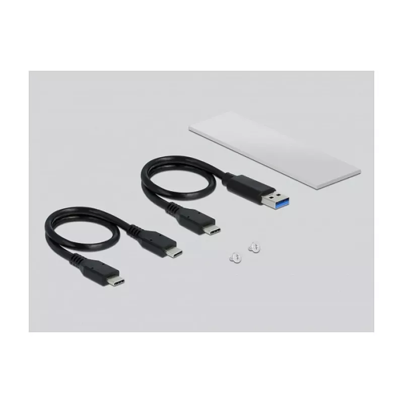 SSD korpuss DeLOCK 42634 Sudraba M.2