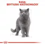 Mitrā kaķu barība Royal Canin British Shorthair Adult paciņa 85 g, mājputni, ROYAL CANIN Feline Breed Nutrition