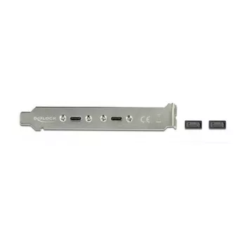 Slota kronšteins DeLOCK 89935 ar 2 USB Type-C portiem