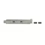 Slota kronšteins DeLOCK 89935 ar 2 USB Type-C portiem