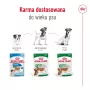 Mitrā suņu barība Royal Canin Mini Adult paciņa 85 g, putnu gaļa, mazām šķirnēm 5–10 kg, 12 × 85 g iepakojums