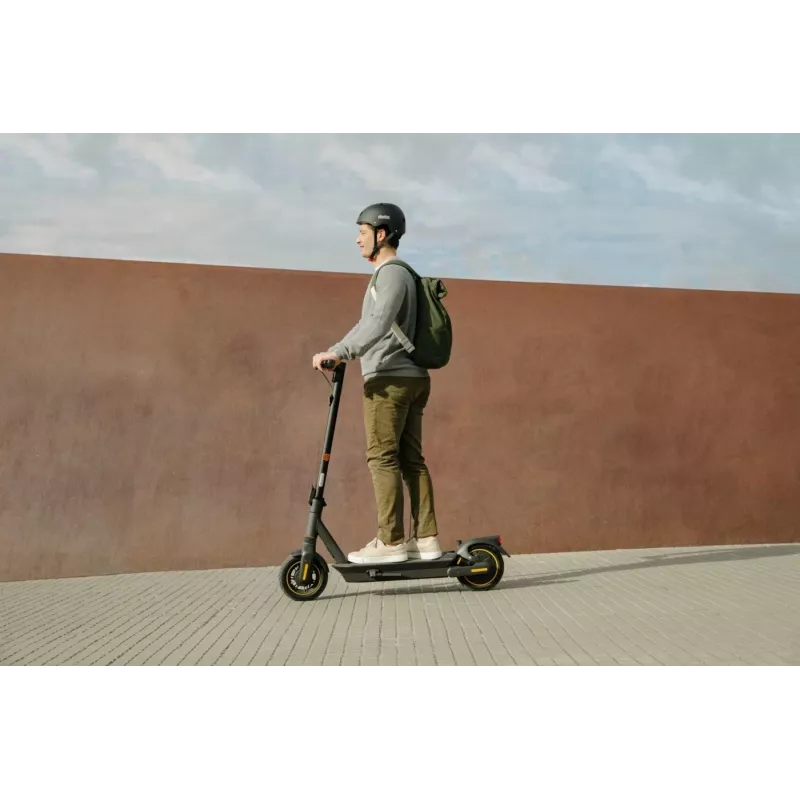 Klasiskais skrejritenis Ninebot by Segway KickScooter MAX G2 D