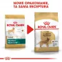 ROYAL CANIN BHN Golden Retriever sausā suņu barība - 12kg