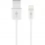 Qoltec alumīnija PDU 19'' statīvam | 1U | 16A | 6x FRANČU tipa rozetes | 1.8m