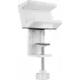 SpeaKa Professional universāls skavas stiprinājums strāvas sadalītājam SP-PSH-001 SP-13403152 Balts 1 gab. (SP-13403152)