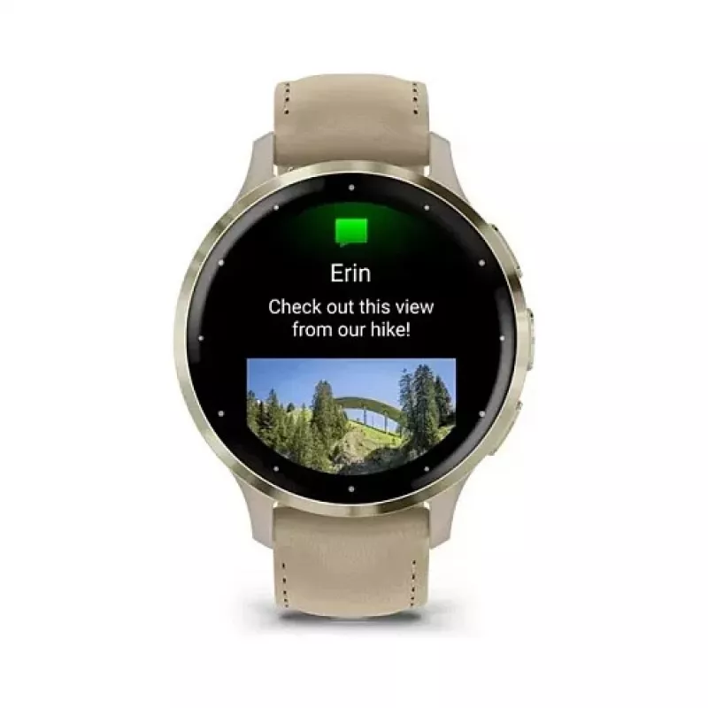 Garmin Venu 3S 41 mm, French gray/softgold