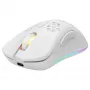 Spēļu pele Deltaco GAM-120-W RF Wireless USB Type-C