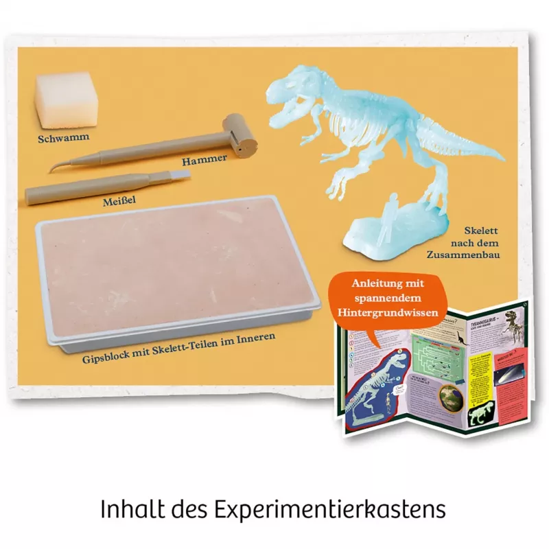 Kosmos T-REX, Paplašinātā realitāte, 7 gadi, Zaļš Kosmos T-REX. Tips: Paplašinātā realitāte, Ieteicamais vecums (min): 7 gadi, Produkta krāsa: Zaļš