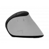Bezvadu vertikālā pele NATEC Euphoniе Pro Bluetooth 5.0, 4000 DPI, Programmējama, Klusa, Balta