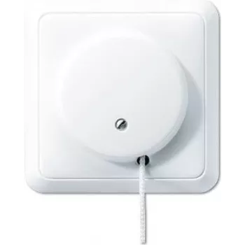 JUNG 5506 to WW - Vilces ķēdes slēdzis - Vadu - Balts - termoreaktīva plastmasa - 250 V - 10 A