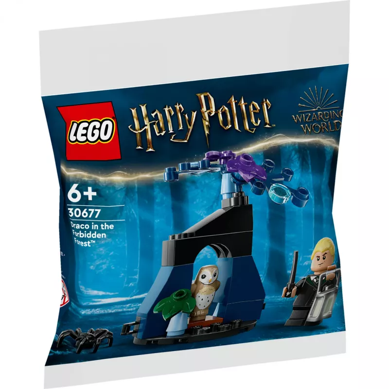LEGO Harry Potter konstruktora komplekts 30677 – Drako Aizliegtajā mežā minifigūras aina
