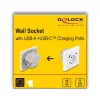DeLOCK 11499 kontaktligzda Type F ar USB A un USB C, balta