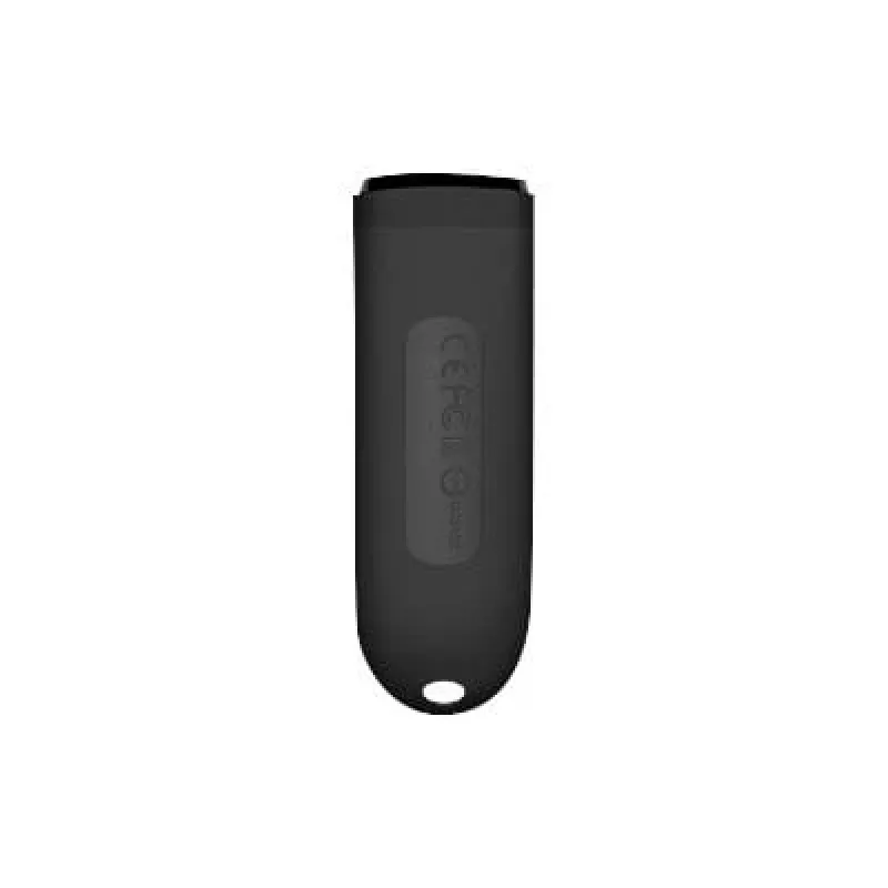Transcend JetFlash 790 256GB Melns