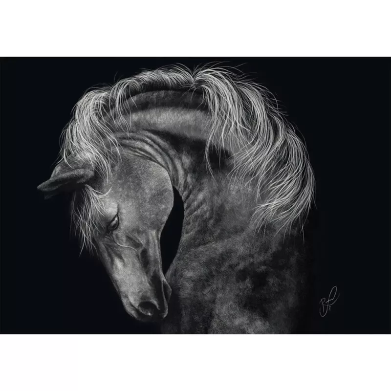 Jigsaw Puzzle schmidt spiele Ashley Rader Power Horse — 1000 gab., MPN 58543
