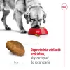Royal Canin Maxi Adult sausā barība suņiem, 15 kg