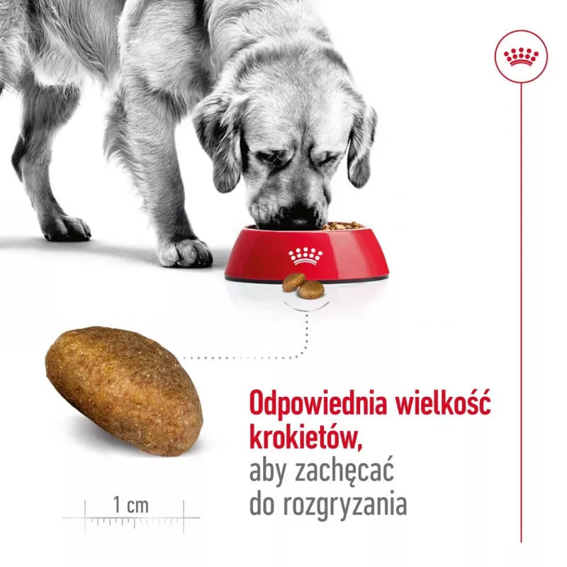Royal Canin Maxi Adult sausā barība suņiem, 15 kg