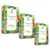 Toraf Seed Set - Set 2X3 2024 Toraf 36X1PCS