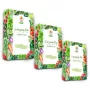 Toraf Seed Set - Set 2X3 2024 Toraf 36X1PCS