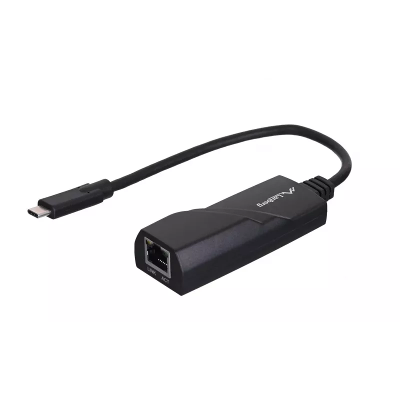 Lanberg NC-1000-02 saskarnes karte/adapteris RJ-45