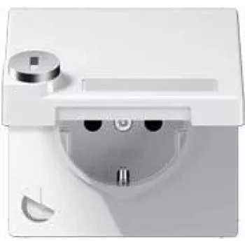 JUNG LS 1520 NAKLSL WW - F tips - 1 modulis(-ļi) - 2P - Balta - Termoplasts - IP44