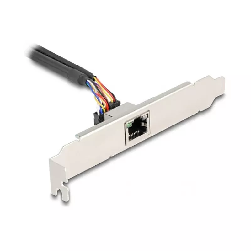 DeLOCK 95268 iekšējais RJ-45 adapteris Mini PCI Express 2.5 Gbit/s