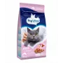 Sausā kaķu barība PREVITAL Senior Salmon 1,4 kg — senioru formula, 31% olbaltumvielu, 9% tauku