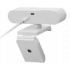 Lenovo GXC1D66063 tīmekļa kamera 2,8 MP 1920 x 1080 pikseļi USB-C pelēka