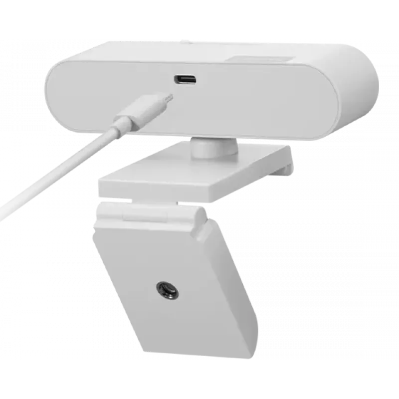 Lenovo GXC1D66063 tīmekļa kamera 2,8 MP 1920 x 1080 pikseļi USB-C pelēka