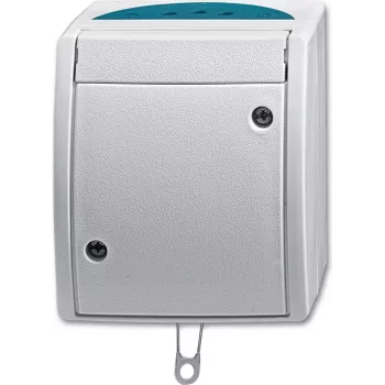 BUSCH JAEGER 2CKA001383A0141 - pievilkšanas slēdzis - sudraba - IP44 - RoHS CE - 250 V - 74 mm