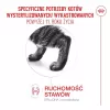 Sausā kaķu barība Royal Canin FHN Ageing Sterilised 11+ putnu gaļa 4 kg, 30% olbaltumvielu, 12,5% tauku
